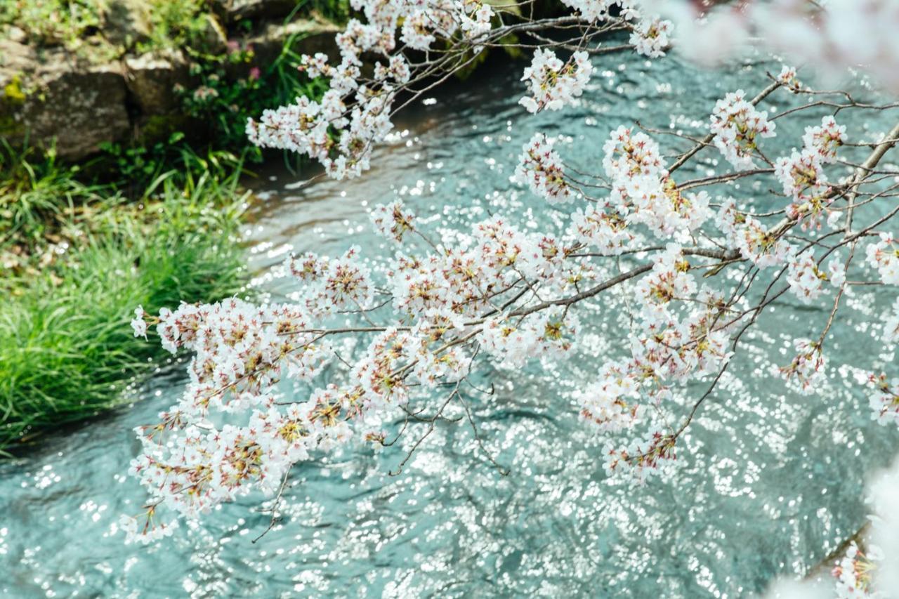 Taos 丹波の風土を感じられる一棟貸切の宿 Tamba-Sasayama Bagian luar foto